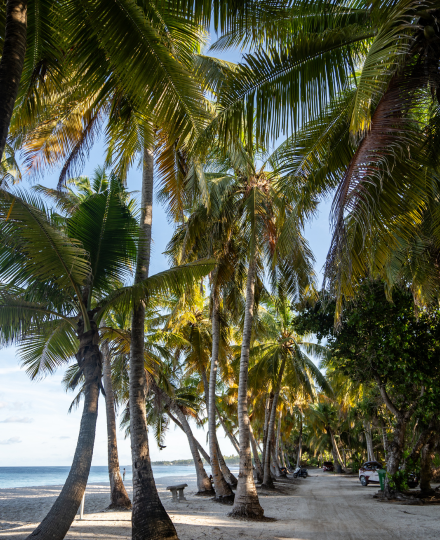 前往馬列機場→馬列機場→吉隆坡轉機→台北