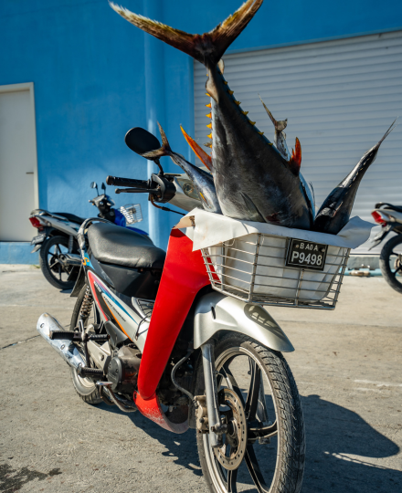 前往馬列機場→馬列機場→吉隆坡轉機→台北