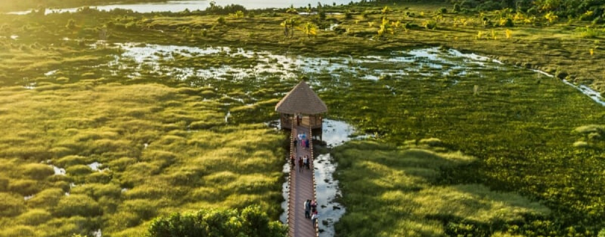 自由探索居民島嶼時光