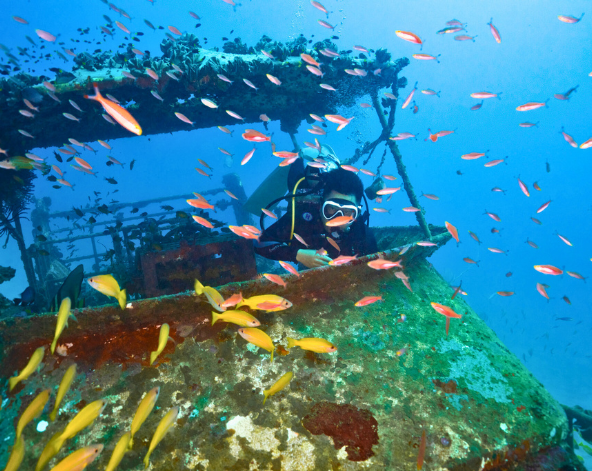 Day4 帕米拉旱 & 沈船(三潛)