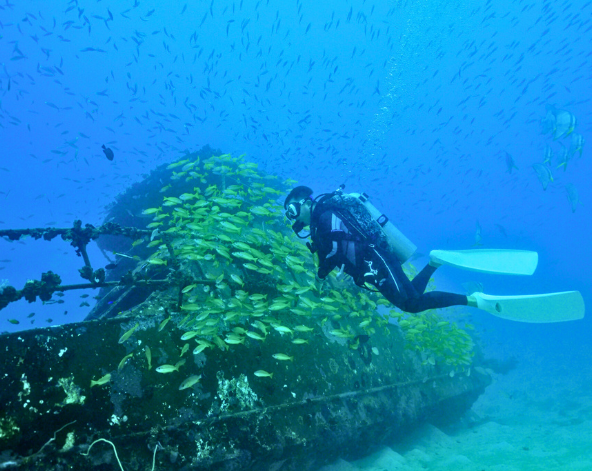 Day4 帕米拉旱 & 沈船(三潛)