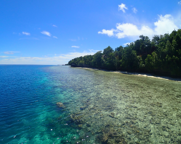 台北→雅加達機場→貝勞機場→乘坐快艇進馬拉圖→檢查裝備、測潛→渡假村晚餐