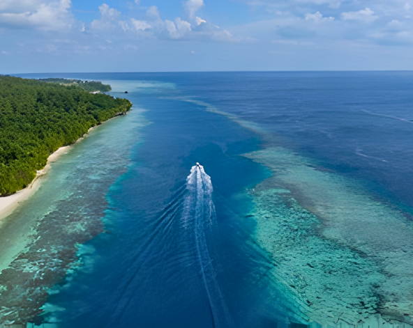 渡假村早餐→馬拉圖 2潛→參觀村落之旅