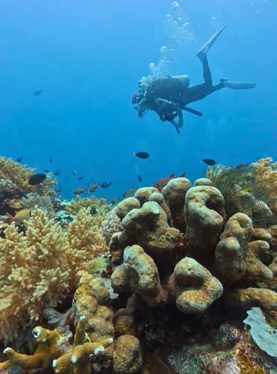 Day2 Check Dive ,馬達京島、丁巴丁巴島一日3潛