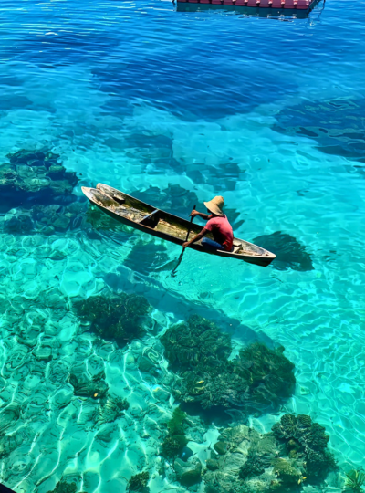 Day2 Check Dive ,馬達京島、丁巴丁巴島一日3潛