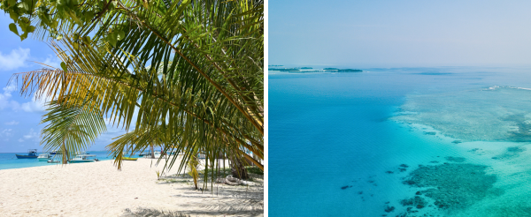 護士鯊共游+沈船之旅(活動午餐)→返回島上自由活動(可以搭配鈦美精選美食地圖解鎖晚餐時光)