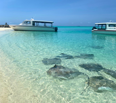 護士鯊共游+沈船之旅(活動午餐)→返回島上自由活動(可以搭配鈦美精選美食地圖解鎖晚餐時光)