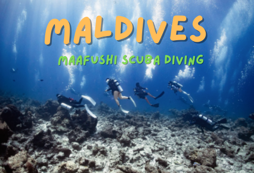 夢幻島國~馬爾地夫水肺潛水團 六天四夜 夢幻島國~馬爾地夫水肺潛水團 六天四夜