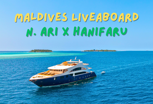 與鬼蝠魟共舞、經典馬爾地夫豪華船宿潛旅8日 與鬼蝠魟共舞、經典馬爾地夫豪華船宿潛旅8日