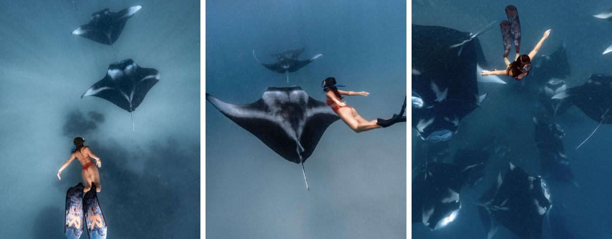 出海 Manta 風暴 (活動午餐)→島上自由活動 (自行探索島上餐點)