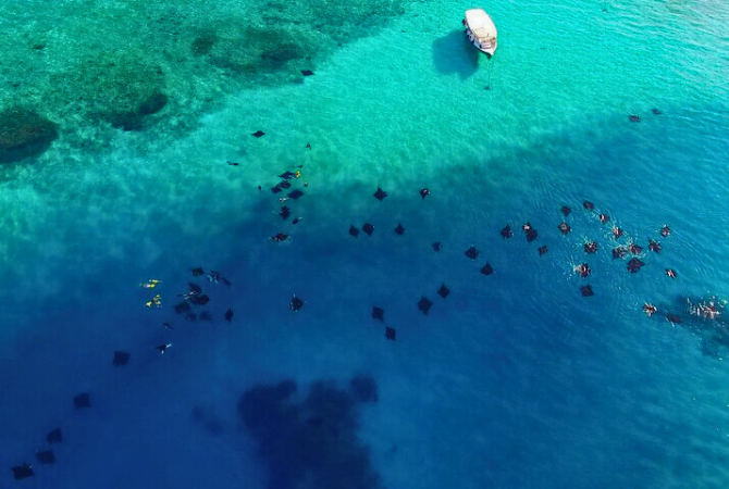 出海 Manta 風暴 (活動午餐)→島上自由活動 (自行探索島上餐點)