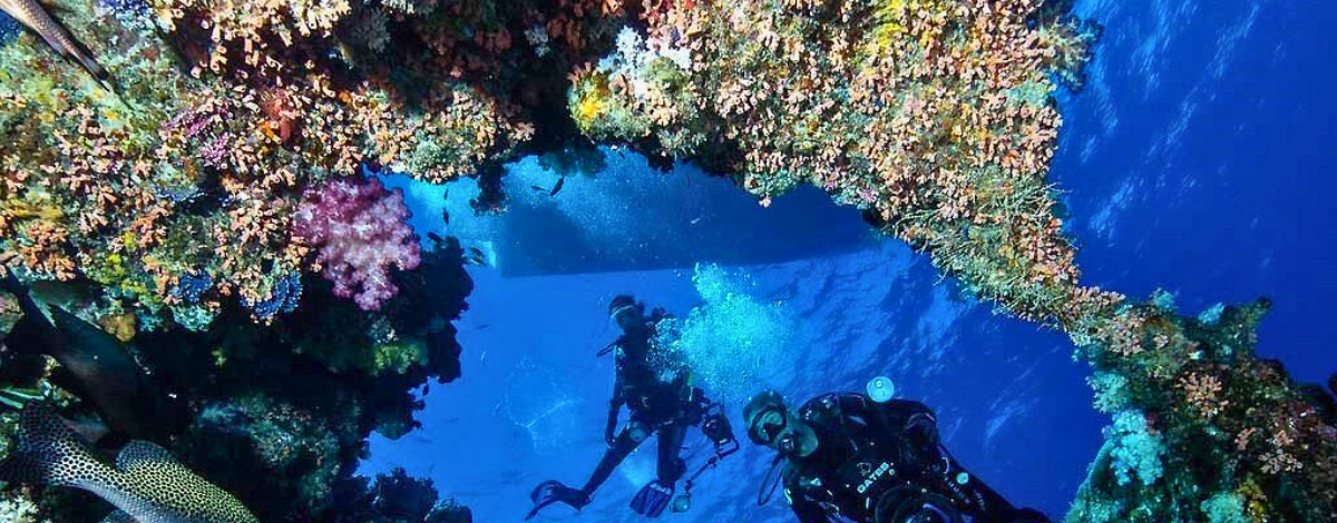 測潛日,烏龍群礁一日3潛(包含出海午餐)