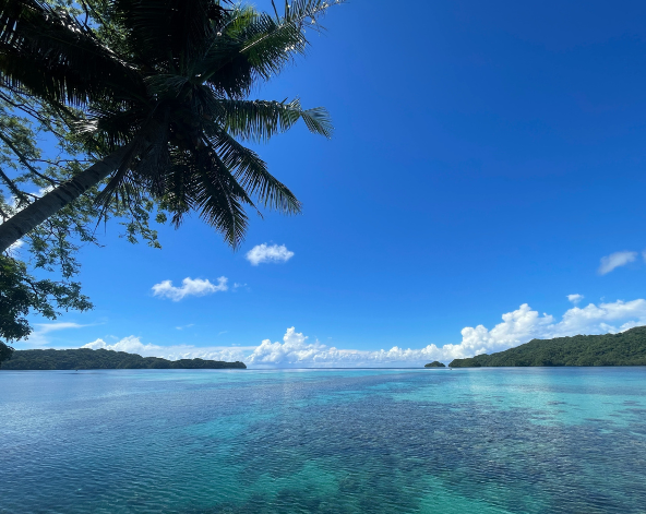 自由活動日 (可選擇加潛牛奶海等知名潛點)