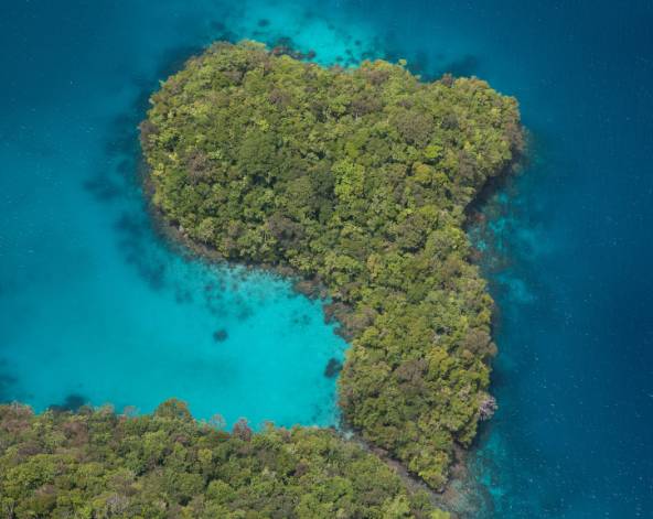 自由活動日 (可選擇加潛牛奶海等知名潛點)