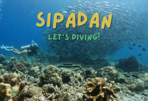 打卡世界十大潛水勝地。馬來西亞 仙本那西巴丹水肺潛水團 打卡世界十大潛水勝地。馬來西亞 仙本那西巴丹水肺潛水團