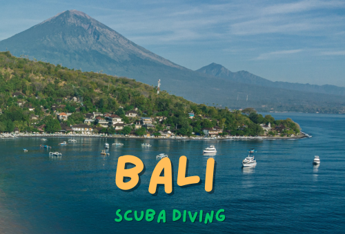 峇里島土藍奔、藍夢島、鬼蝠魟潛旅5日 峇里島土藍奔、藍夢島、鬼蝠魟潛旅5日