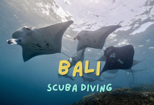 峇里島潛旅 與Manta、Mola Mola夢想之旅