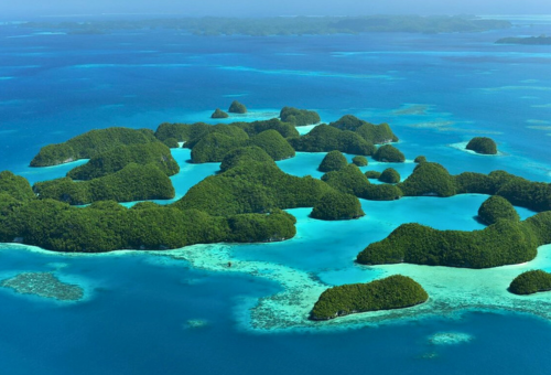 #潛進藍色奇蹟、上帝水族箱 帛琉水肺潛旅 6天5夜