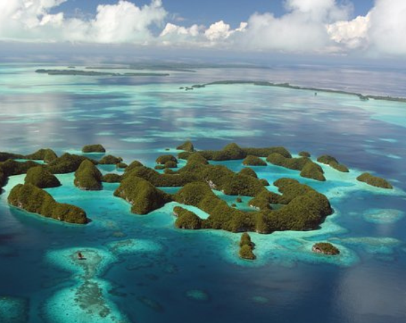 帛琉經典潛點巡禮，一日3 潛 ( 潛點: 藍洞、 藍角 、德國水道、鯊魚城)