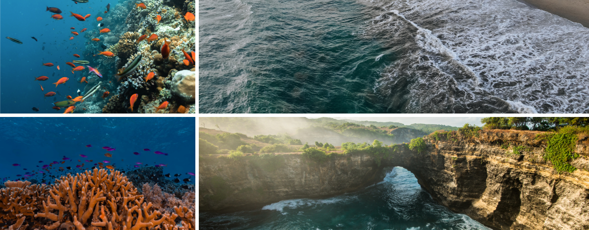 三次潛水(推薦潛點 : MALIBU POINT、SD POINT、BUYUK POINT )